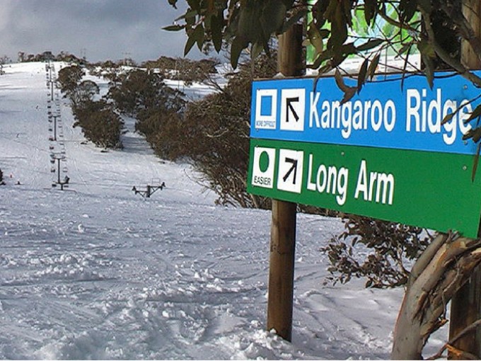 kangarooridge 800x500